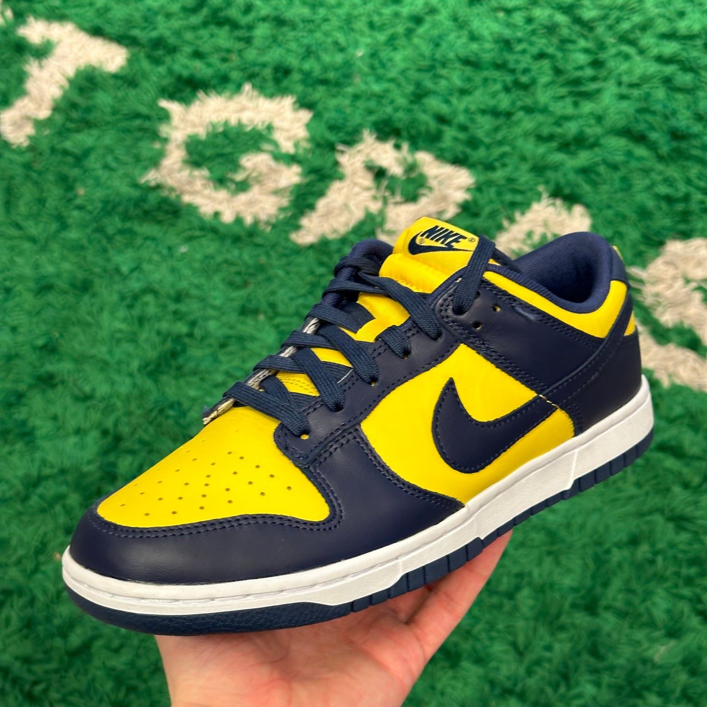 Nike Dunk Low Michigan Size 8 (New)