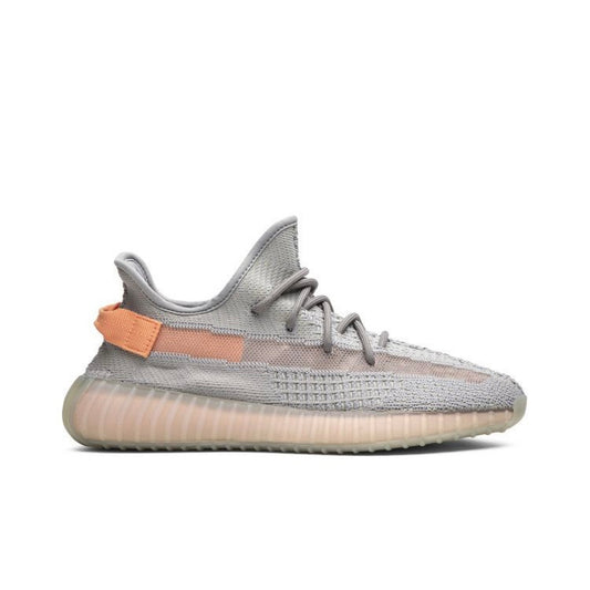 Yeezy 350 Tru Form (New)