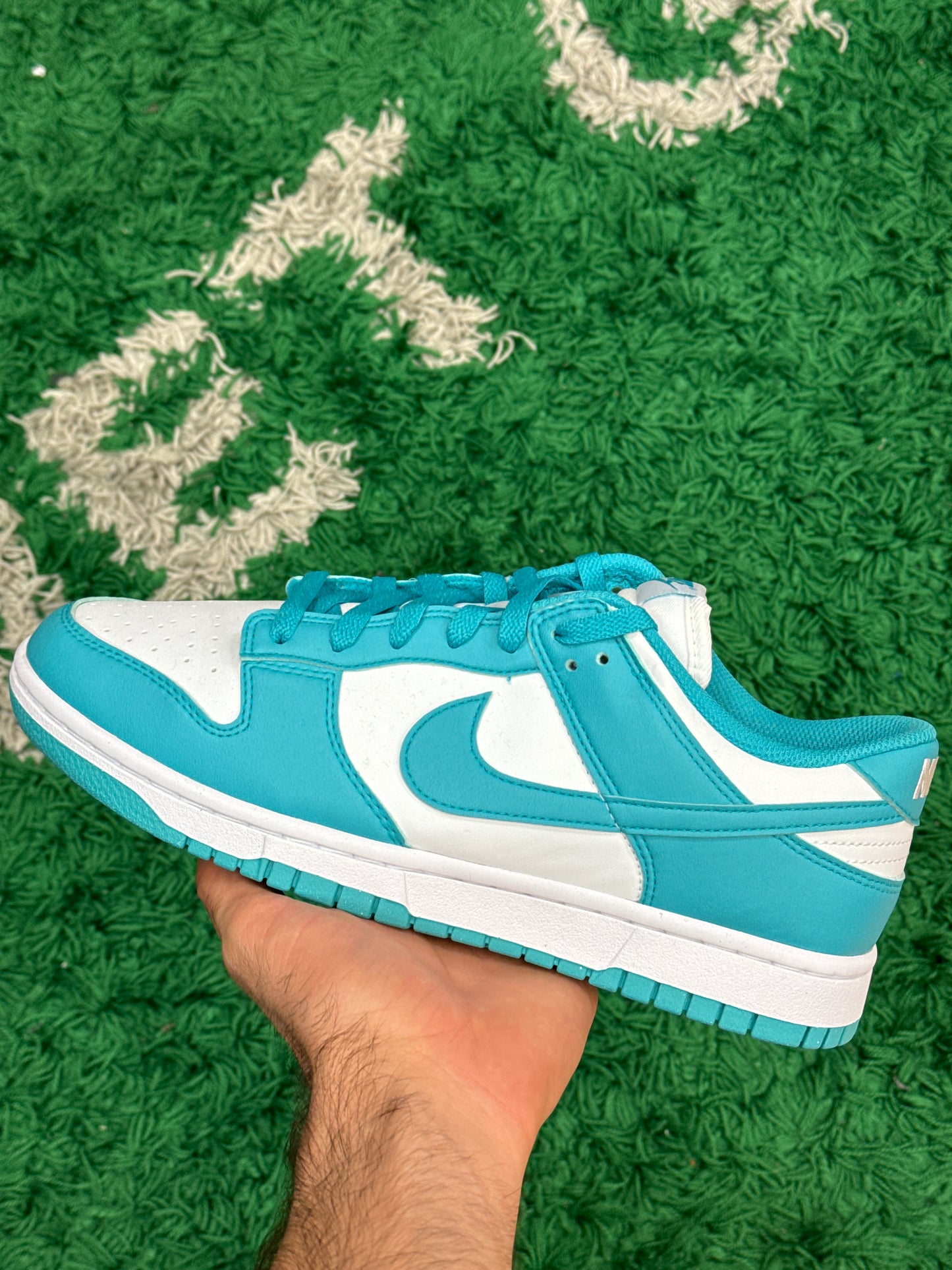 Nike Dunk Low Next Nature Dusty Cactus 11w 9.5m (New)