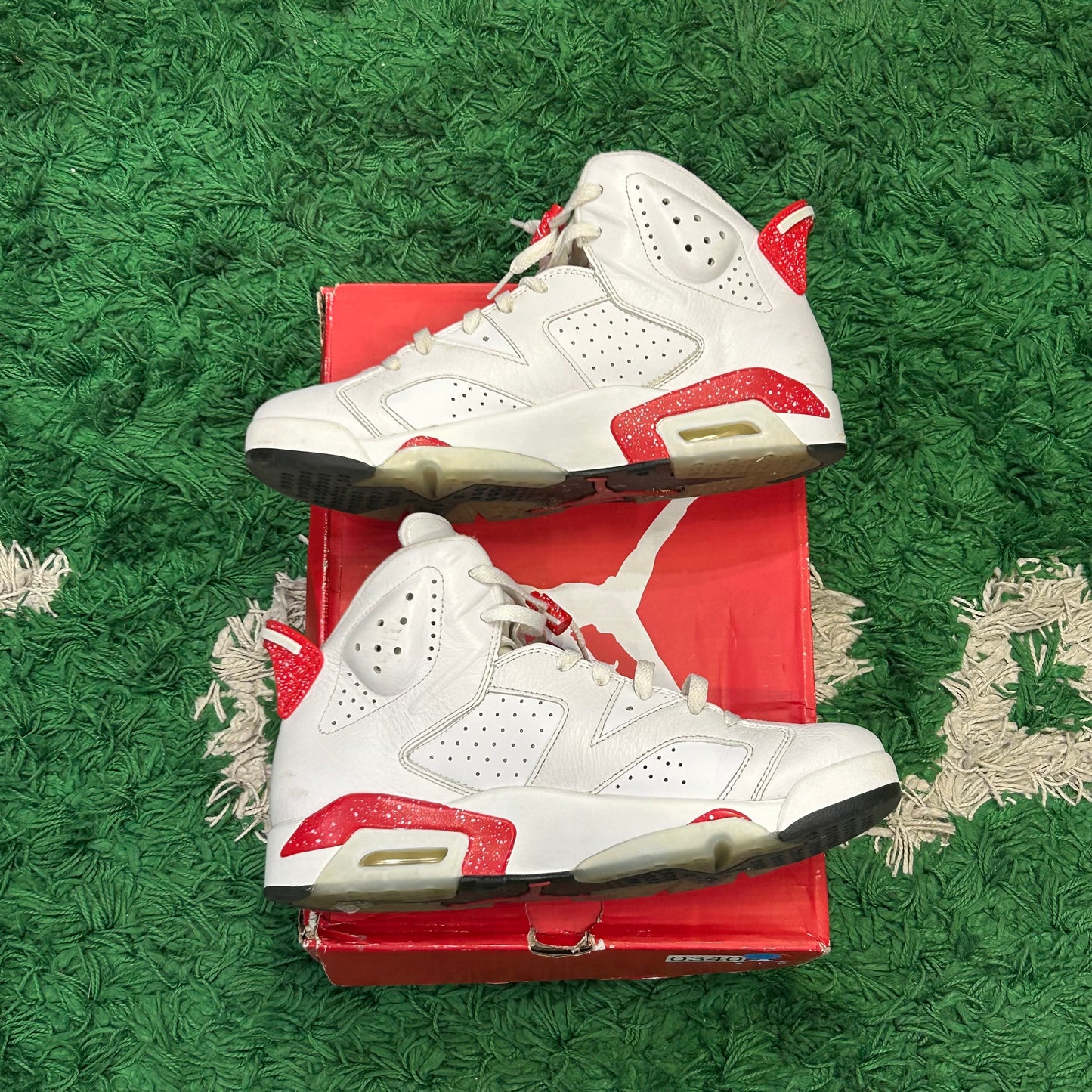 Jordan 6 Red Oreo Size 10 (Worn)