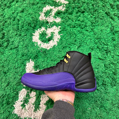 Jordan 12 Field Purple Size 11 (Worn Lightly RB)