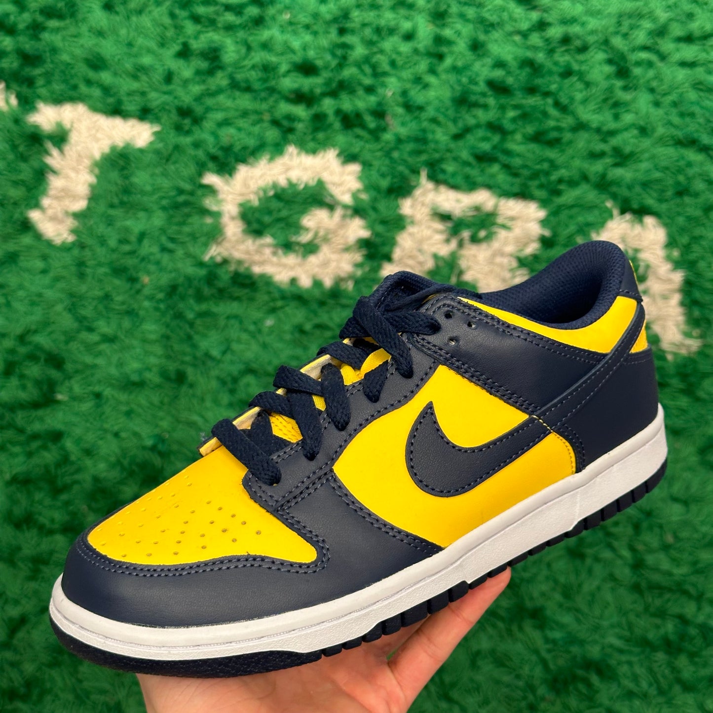 Nike Dunk Low Michigan Size 7Y (New)