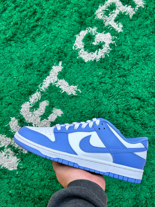 Nike Dunk Low Polar Blue Size 8 (New)