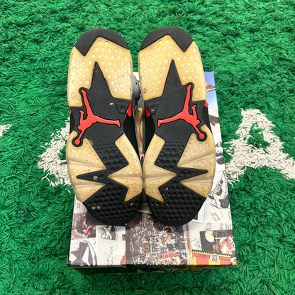 Jordan 6 Reflection Of Champions Size 8.5 (Worn)