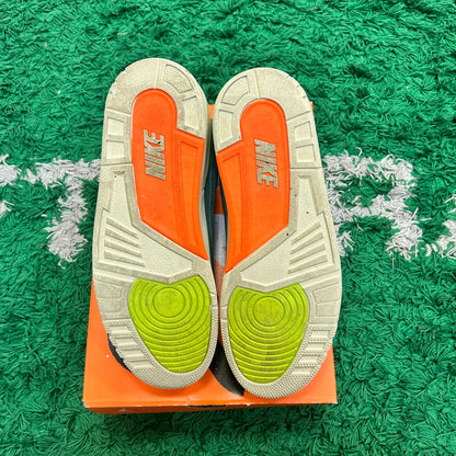 Jordan 3 Nina Chanel Abney Biocoastal W Size 14W/12.5M (Worn 1X)