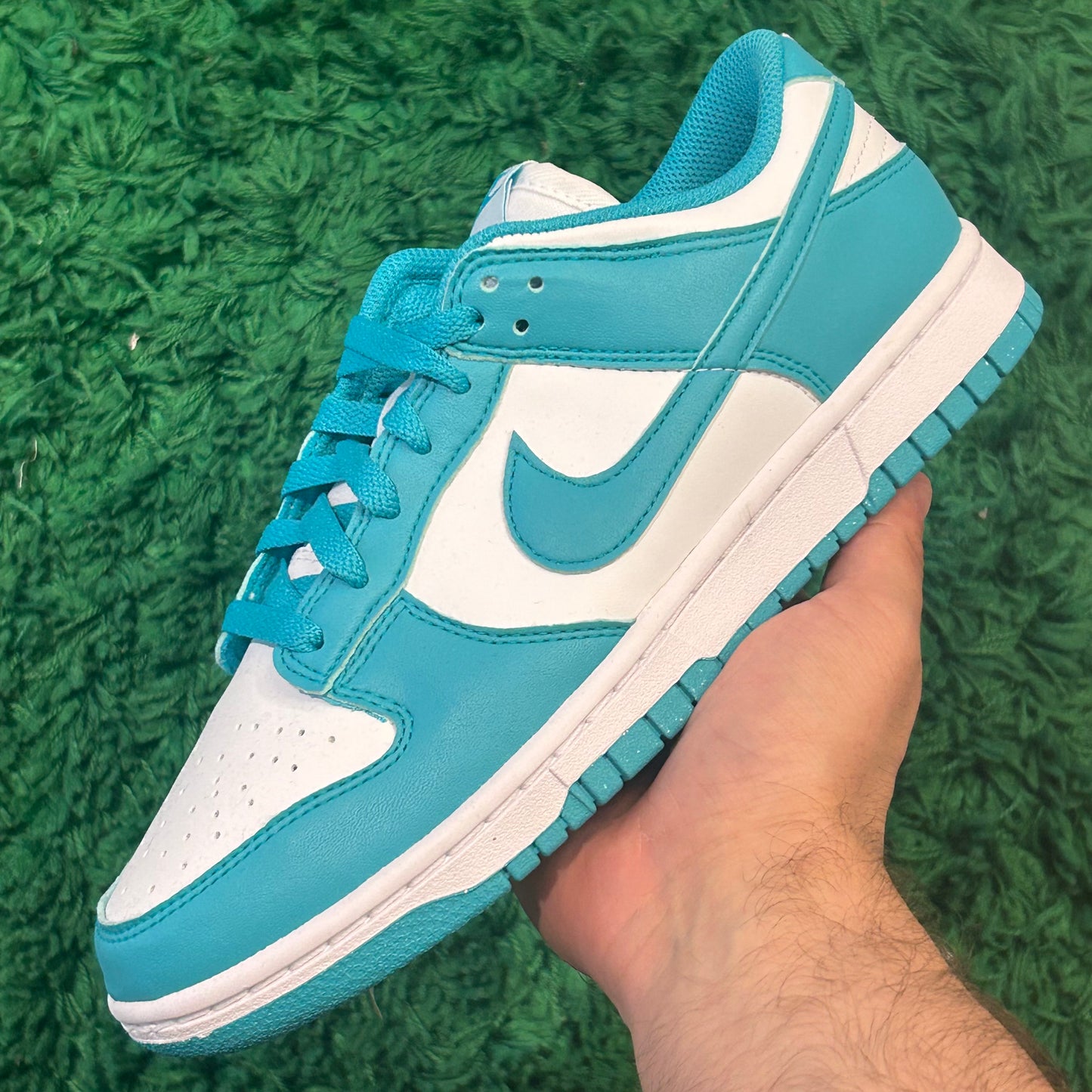 Nike Dunk Low Dusty Cactus Size 7Y (New)