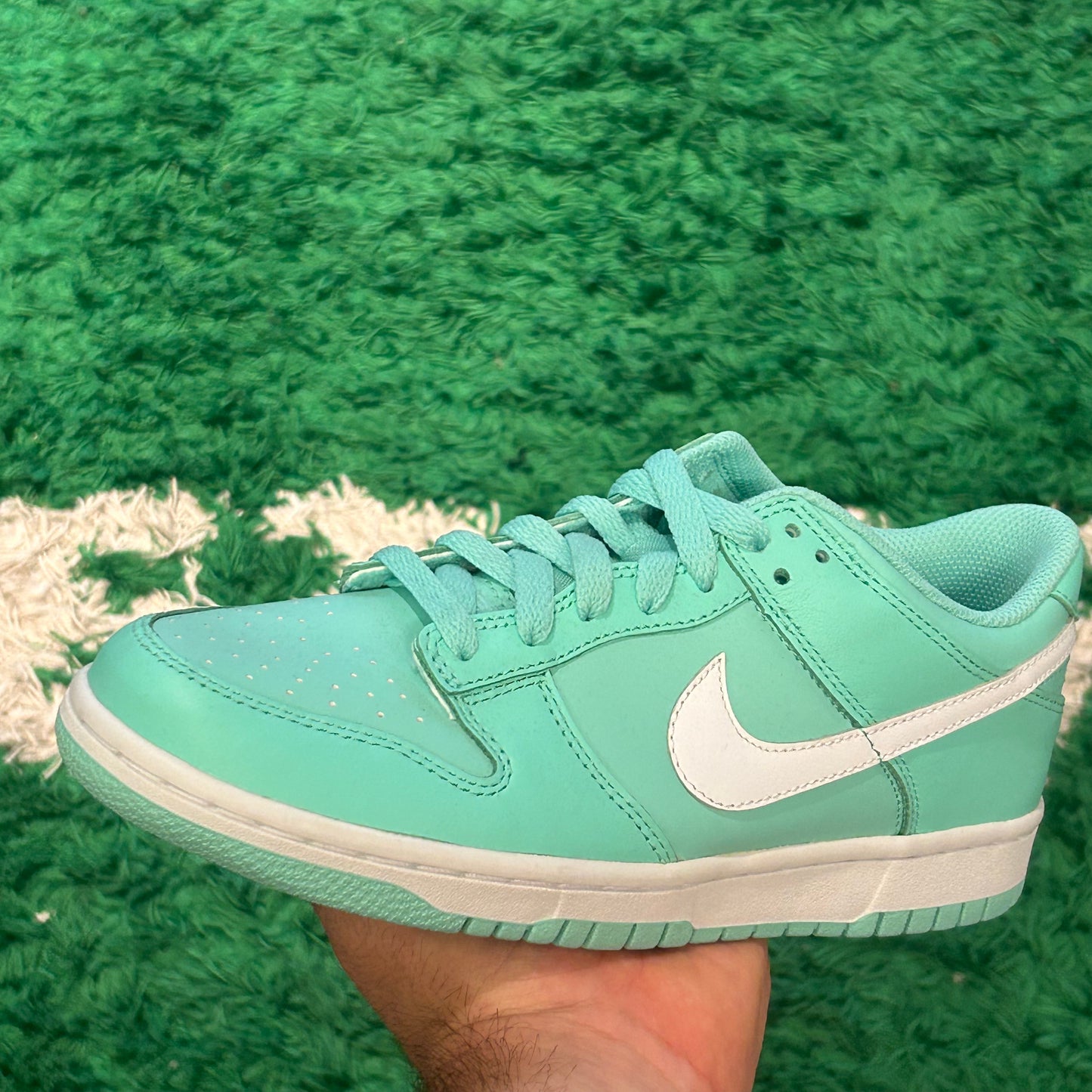 Nike Dunk Low Emerald Size 6Y (New)