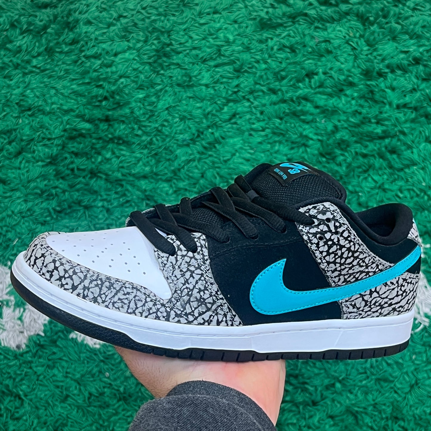 Nike Dunk Low SB Atmos Size 9.5 (New)